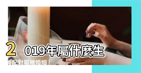 人豬配|生肖配對｜屬豬12生肖夫妻配對表！最佳姻緣及相沖排